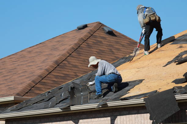 Best Asphalt Shingle Roofing  in Thornton, IL